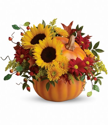 Autumn Joy from Anthony's Florist in Laurel, MS